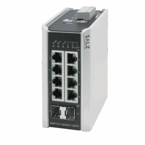 SWITCH 6008GT-2SFP